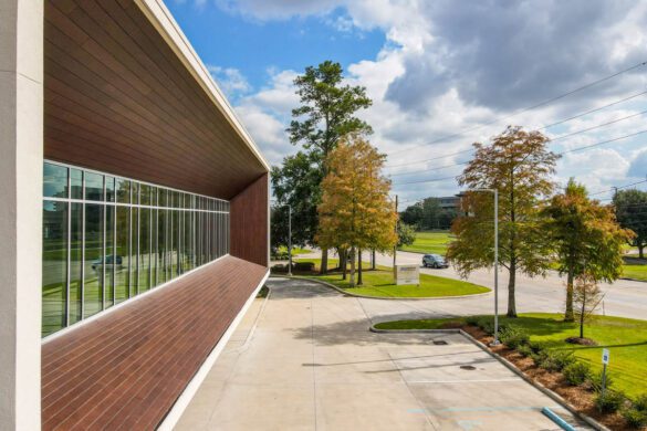 Why Baton Rouge Should Be Your Next Trip: Tigers, Blues & Swamp Trails