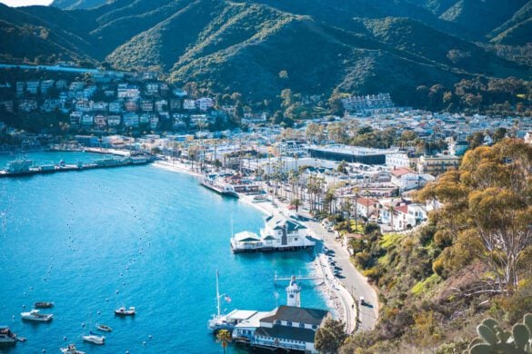 Best Things to Do in Catalina Island