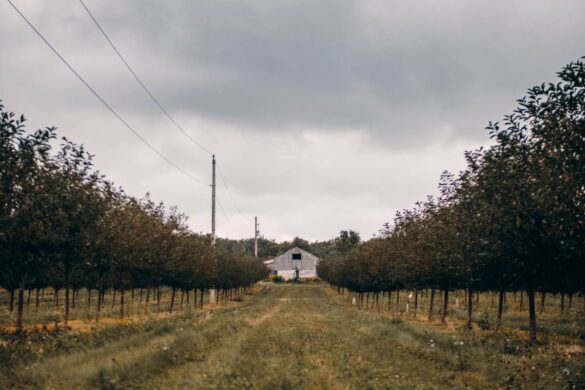 My Ultimate Door County Bucket List: Wisconsin’s ‘Cape Cod’