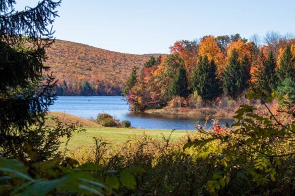 Best Things to Do in Jim Thorpe, PA