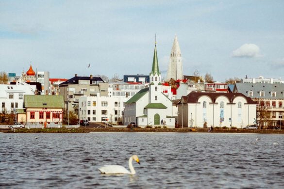 Where to Go in Reykjavik, Iceland: 12 Amazing Experiences