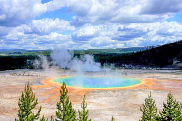 Explore Yellowstone in 2026: Geysers, Canyon Views & Wildlife Trails