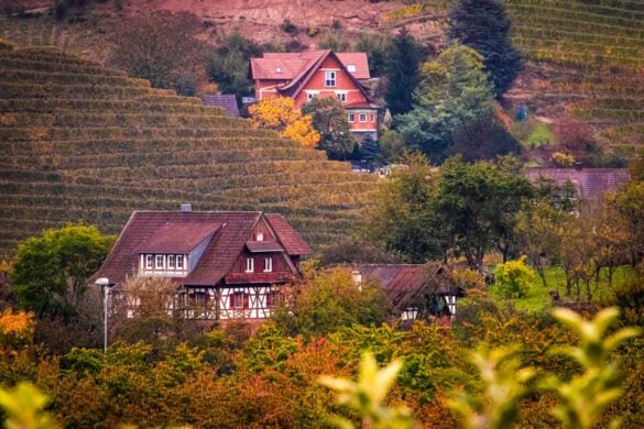Best Things to Do in the Black Forest, Germany