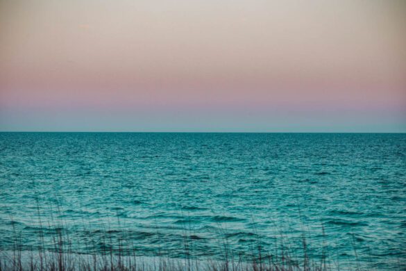 Florida Panhandle Guide: Hidden Springs, Oyster Shacks & Wild Dunes