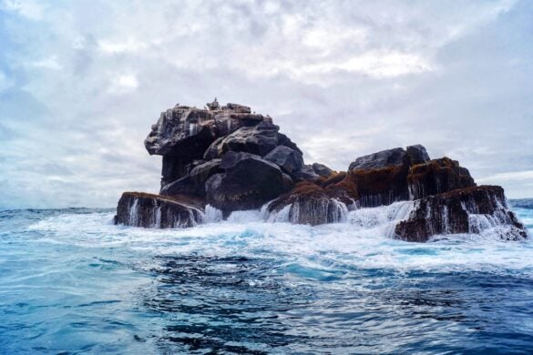 12 Must-See Galapagos Islands Attractions & Unique Activities