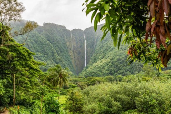 12 Unique Things to Do on the Big Island of Hawaii (Beyond the Basics!)
