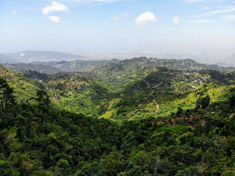 Lush greenery and rocky terrain define the landscape of the iconic Blue Mountains, one of the most beautiful places in Jamaica