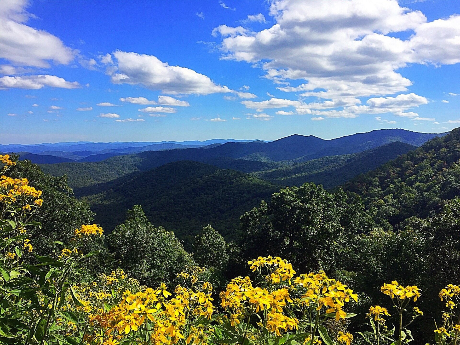 Best Things to Do in the Blue Ridge Mountains: 12 Top Attractions