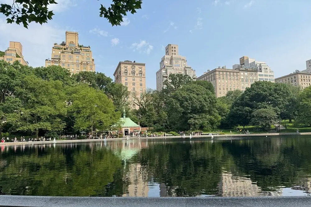 Central Park in New York City with trees, a pond, and buildings in the background.