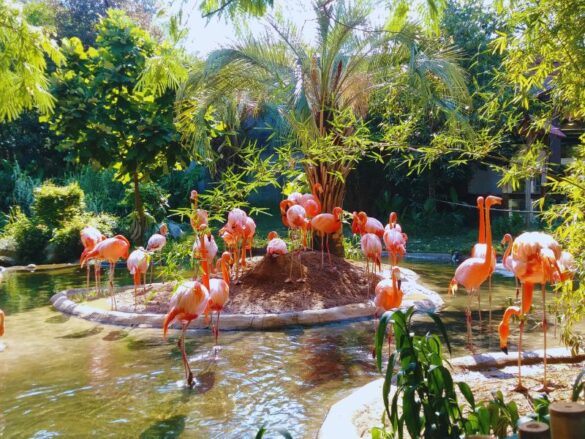 12 Most Beautiful Places in South Carolina to Visit - Global Viewpoint