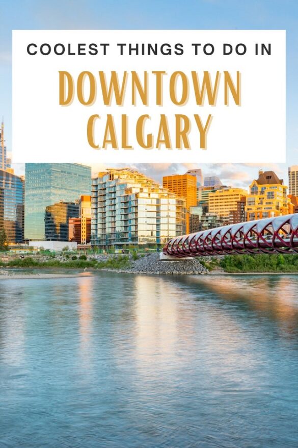 Downtown Calgary’s Coolest Spots: 15 Experiences You Can’t Miss ...