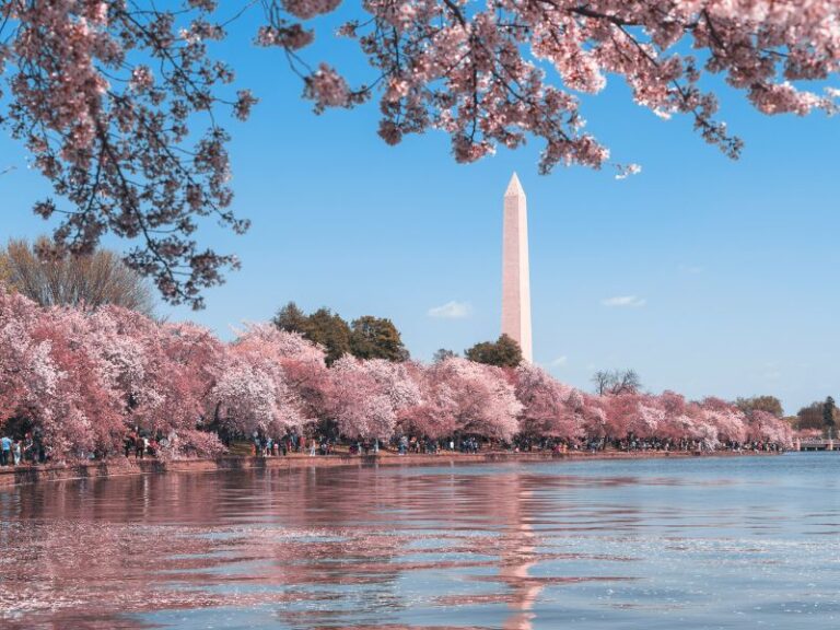 13 Cheapest Places to Fly From DC (Right Now) Global Viewpoint