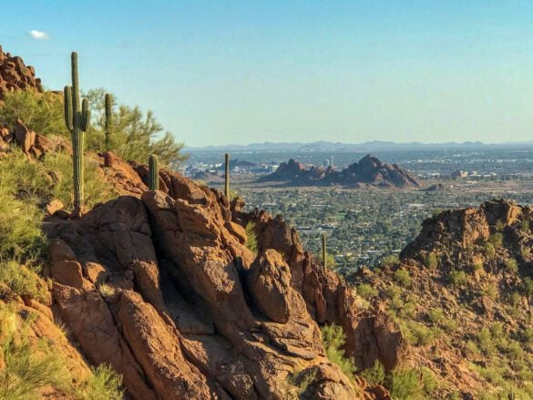 Fun Things to Do in Phoenix