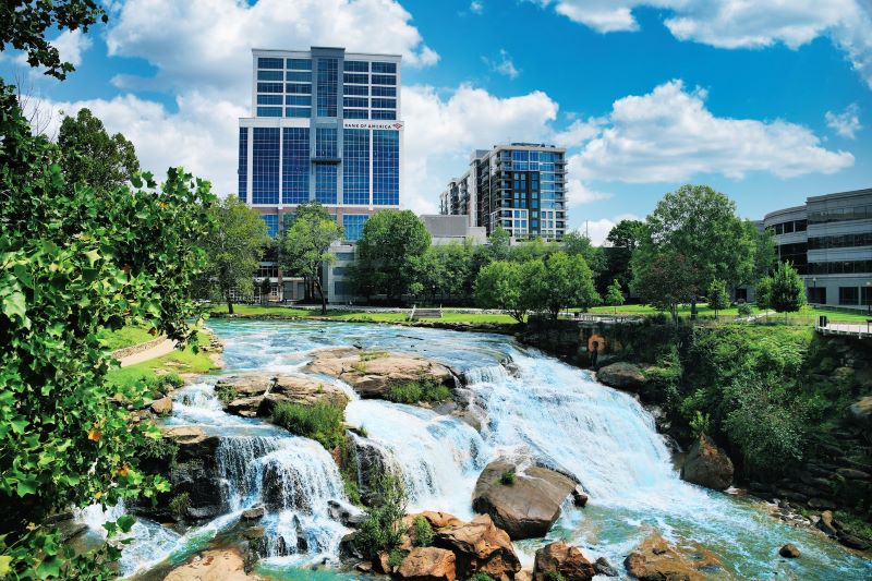 Immerse yourself in the serene beauty of Greenville Cypress