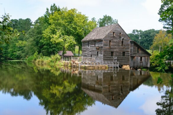 Why Raleigh’s Food, Beers & Art Scene Make It the South’s Surprise Hit
