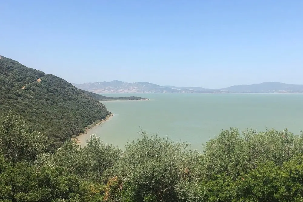 A scenic view of Ichkeul National Park with green hills, a lake, and distant mountains.
