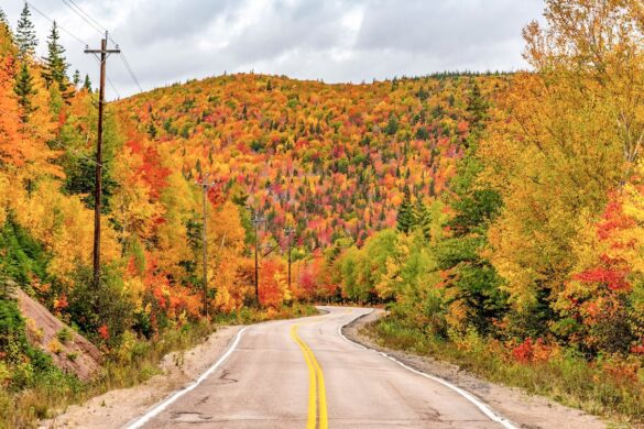 12 Jaw-Dropping Destinations in Nova Scotia to Visit This Year