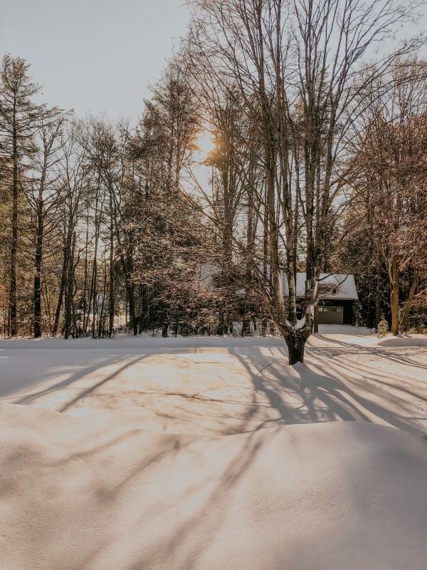 A luxurious lakeside cabin with a stunning view of Muskoka Lakes
