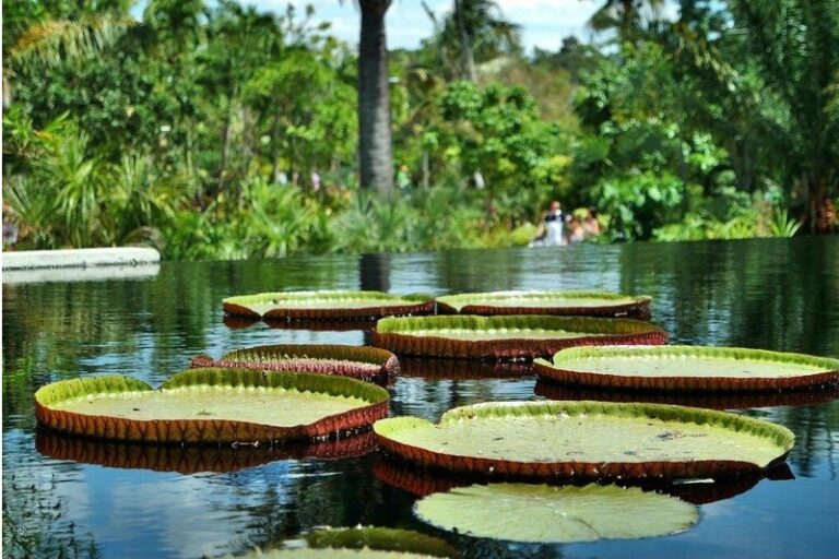 South Florida Bucket List: 15 Fun Things to Do & See