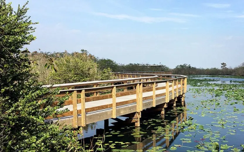 Everglades National Park
