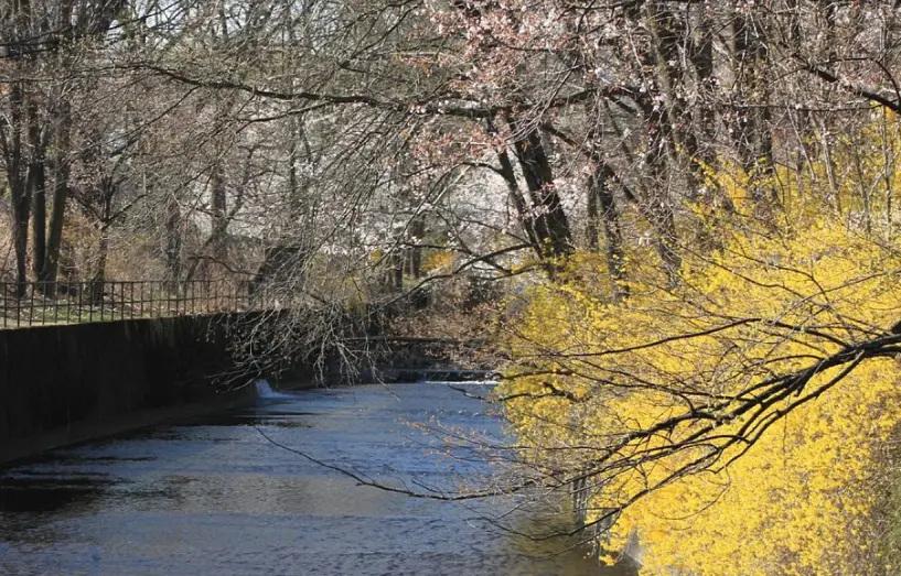 Newark