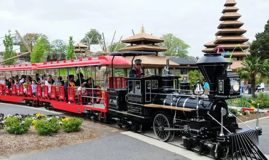 Zoo train