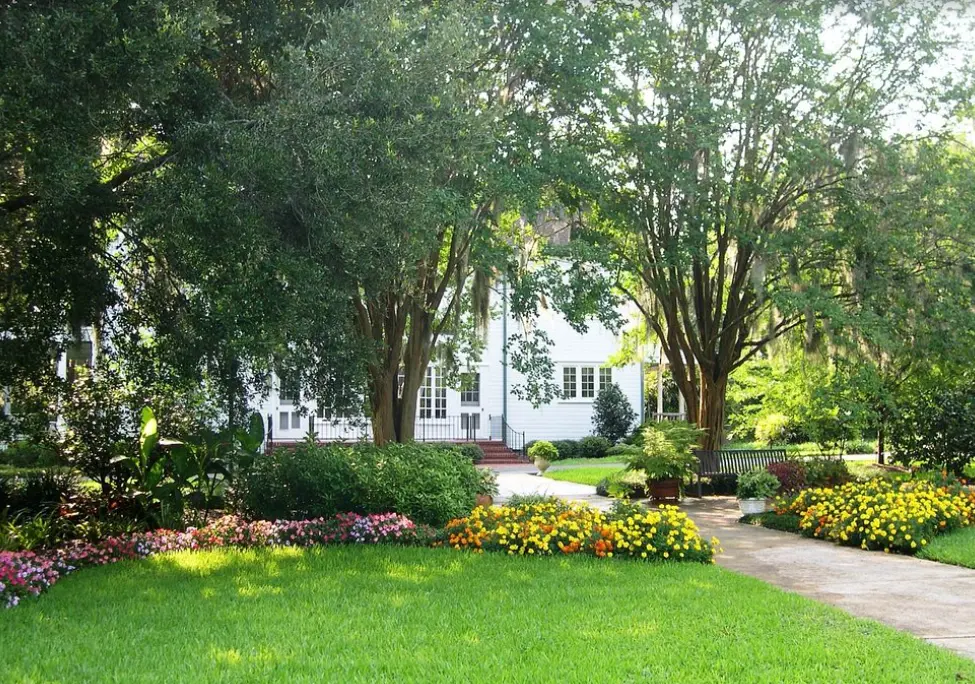 Color Garden