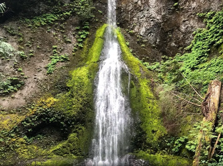 Olympic National Park