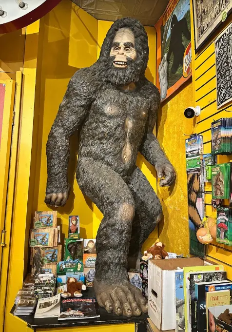 Museum of The Weird