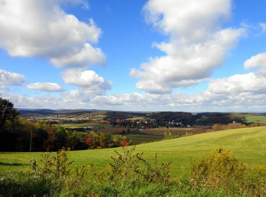 Savage River State Forest
