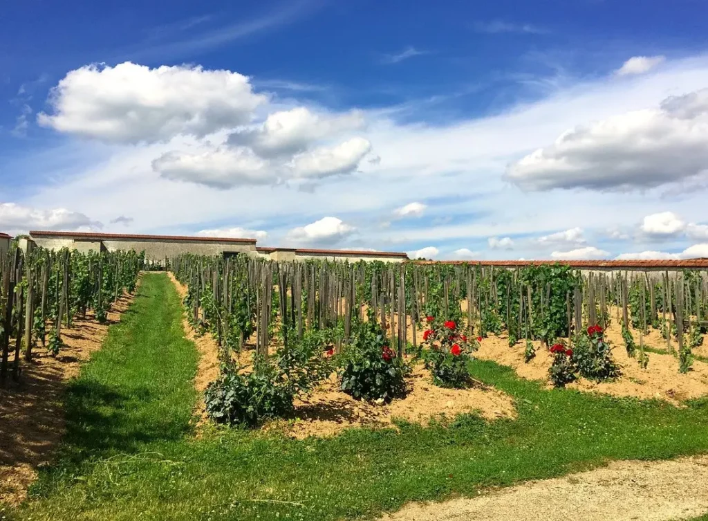 Champagne-Ardenne