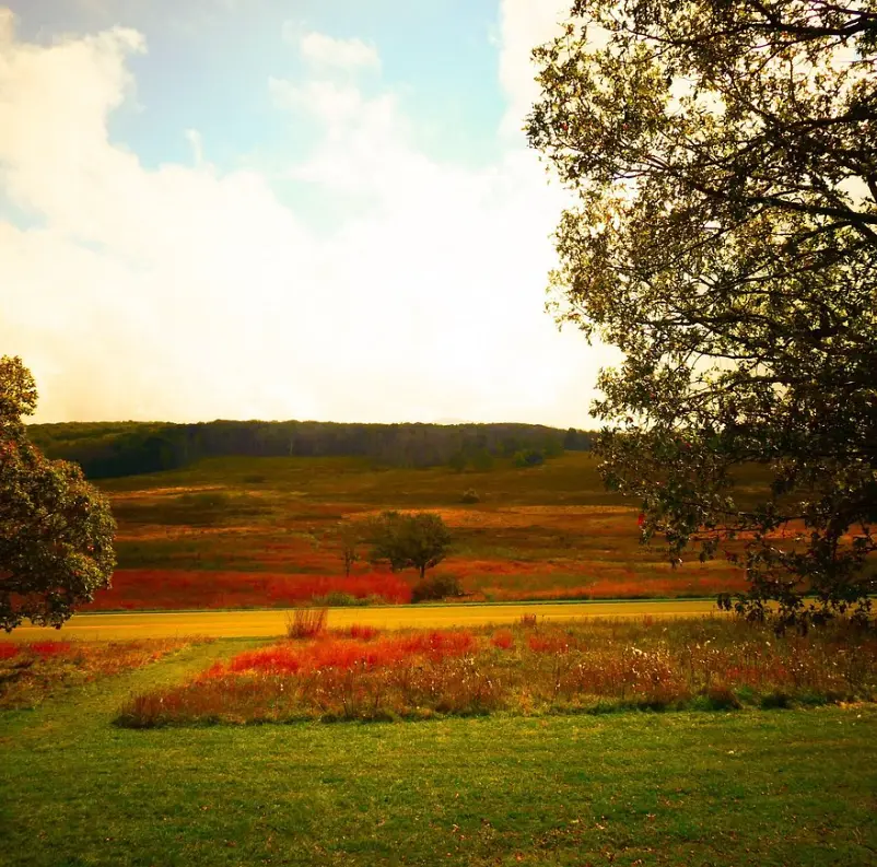 Skyline Drive