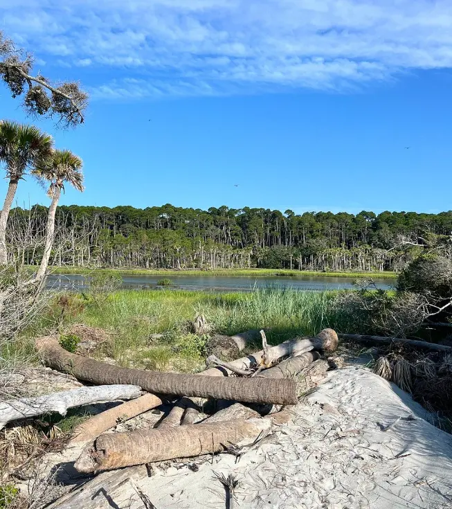 Hunting Island State Park