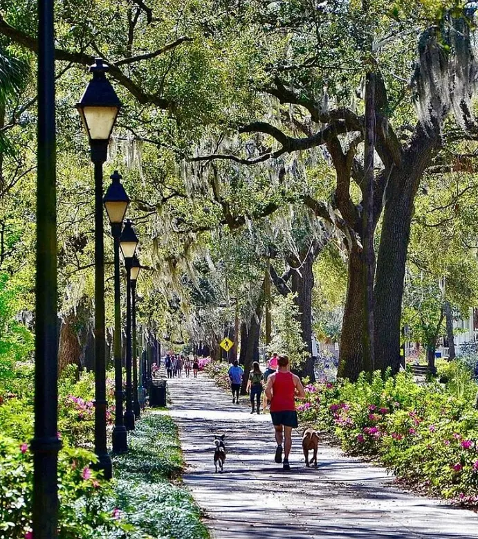 Forsyth Park