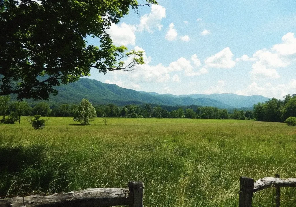 Great Smoky Mountains National Park