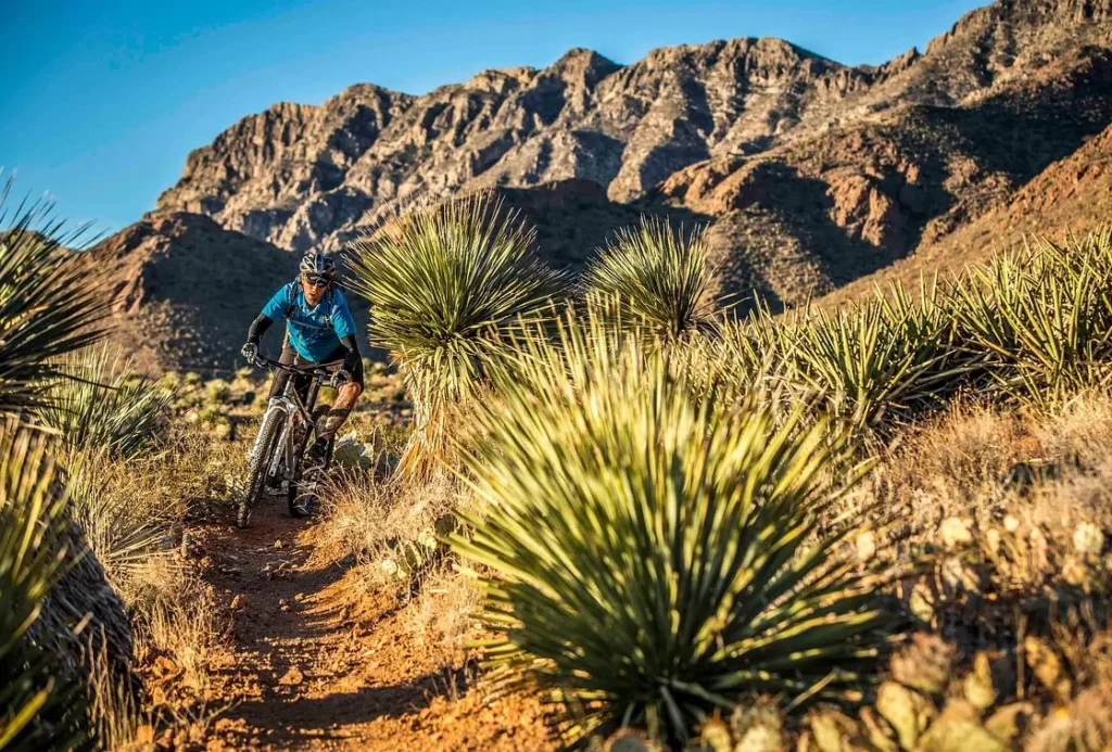 El Paso