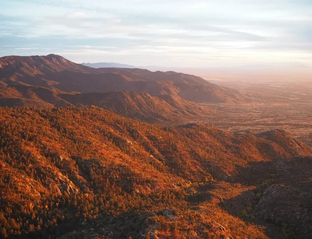 Albuquerque