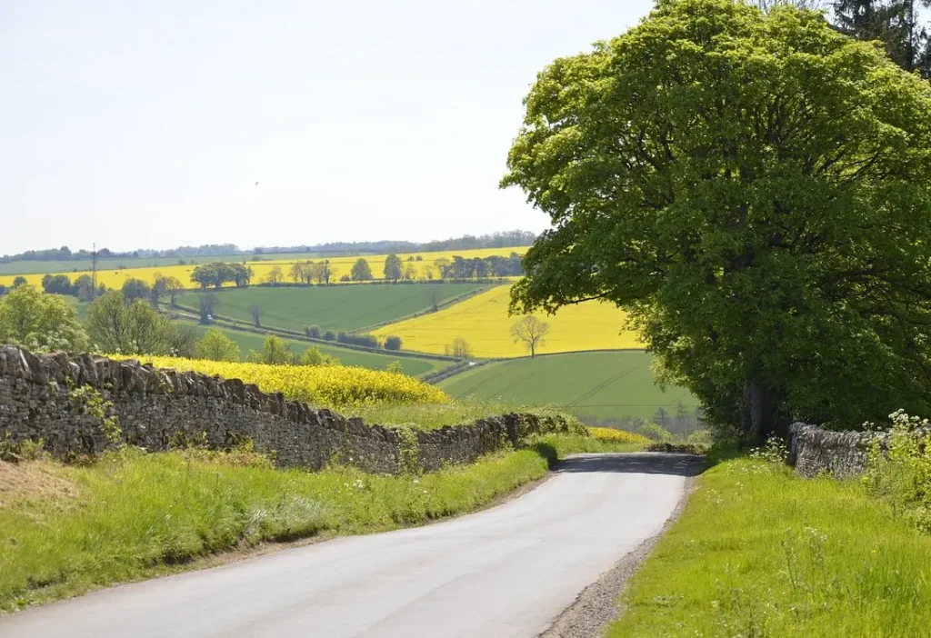 Cotswolds