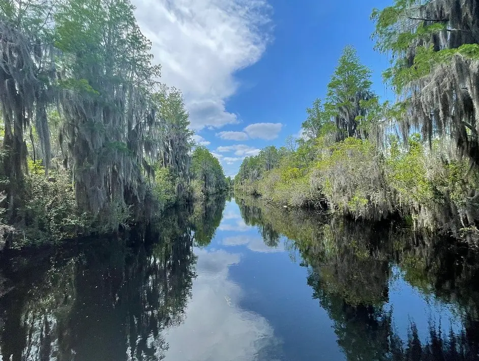 Okefenokee Swamp Park
