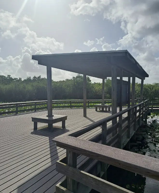 Anhinga Trail