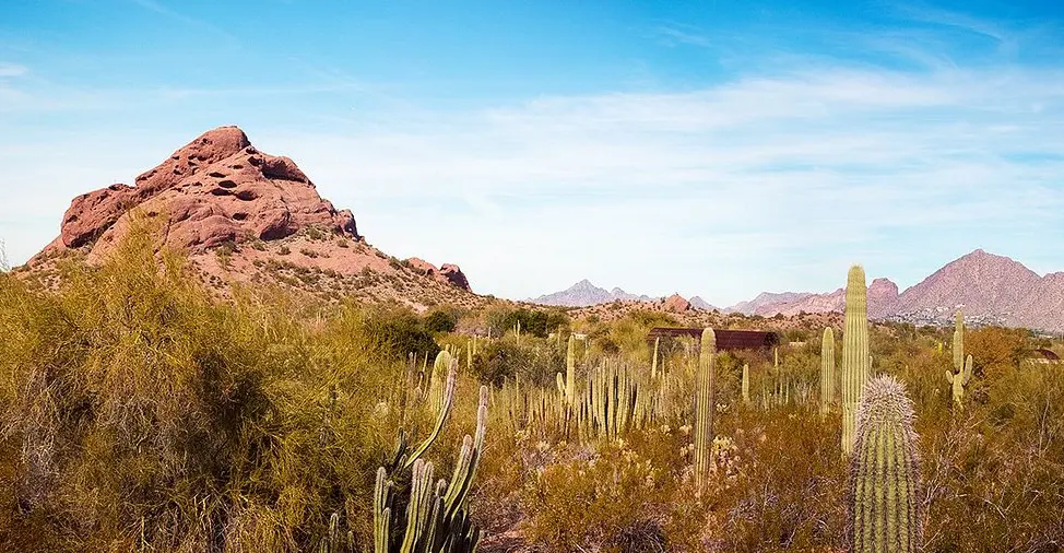 Desert Botanical Garden
