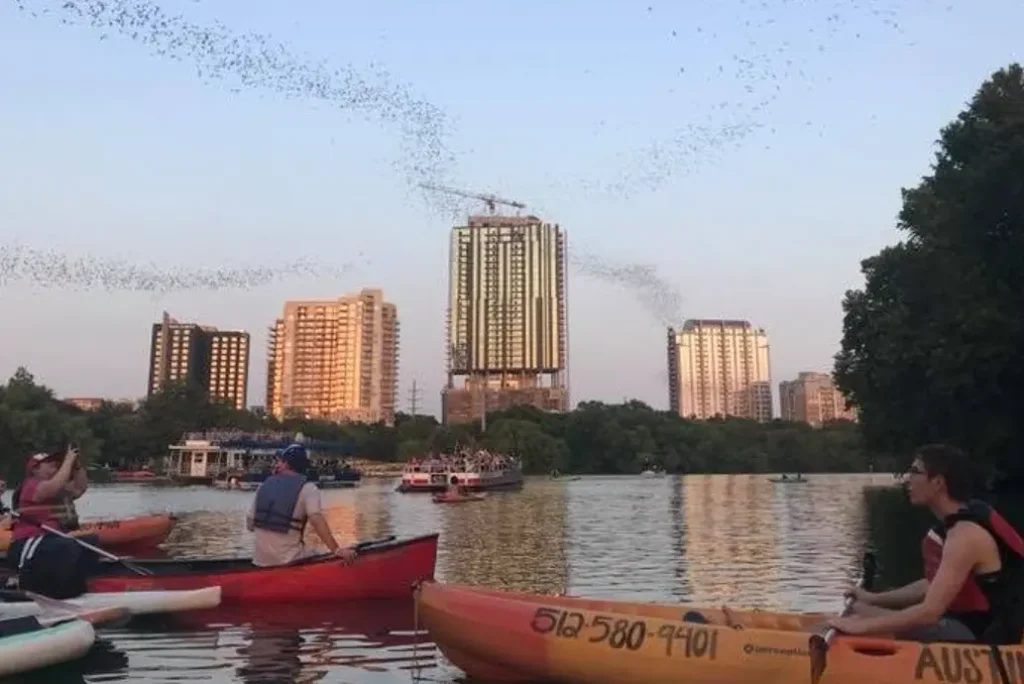 Congress Avenue Bat Bridge Kayak Tour in Austin