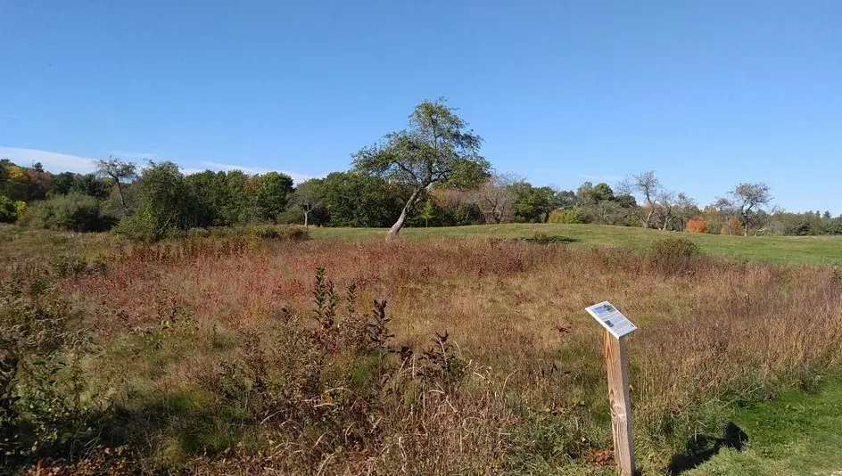 Wagon Hill Farm