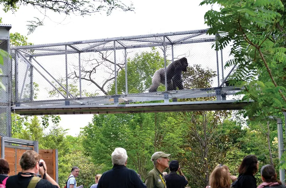 Philadelphia Zoo