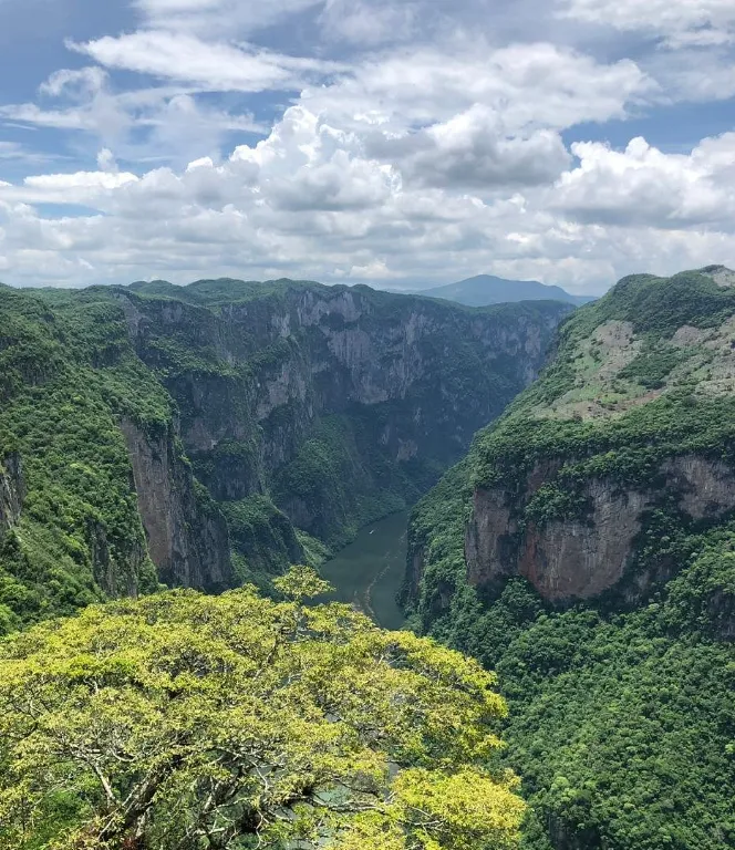 Tuxtla Gutierrez