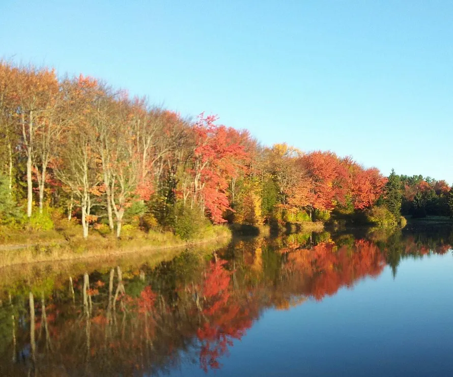 Moncton
