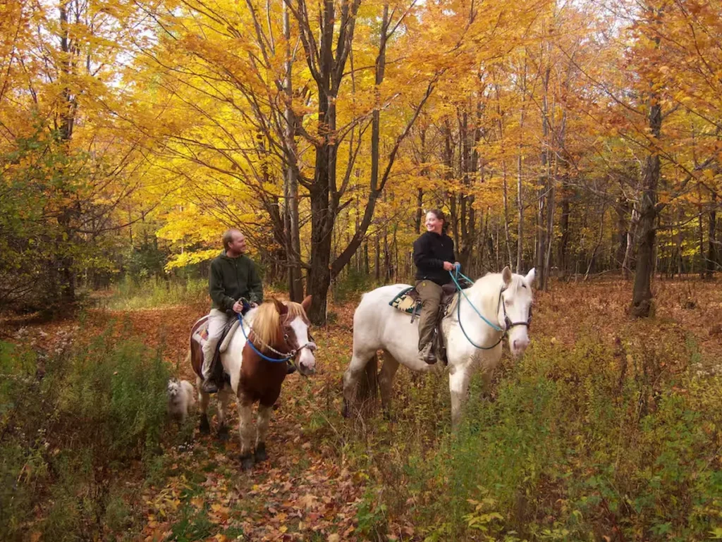 Horseback Ride in the Appalachian Mountains