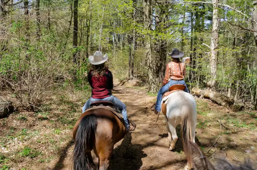 Horseback Riding in the Catskill Mountains