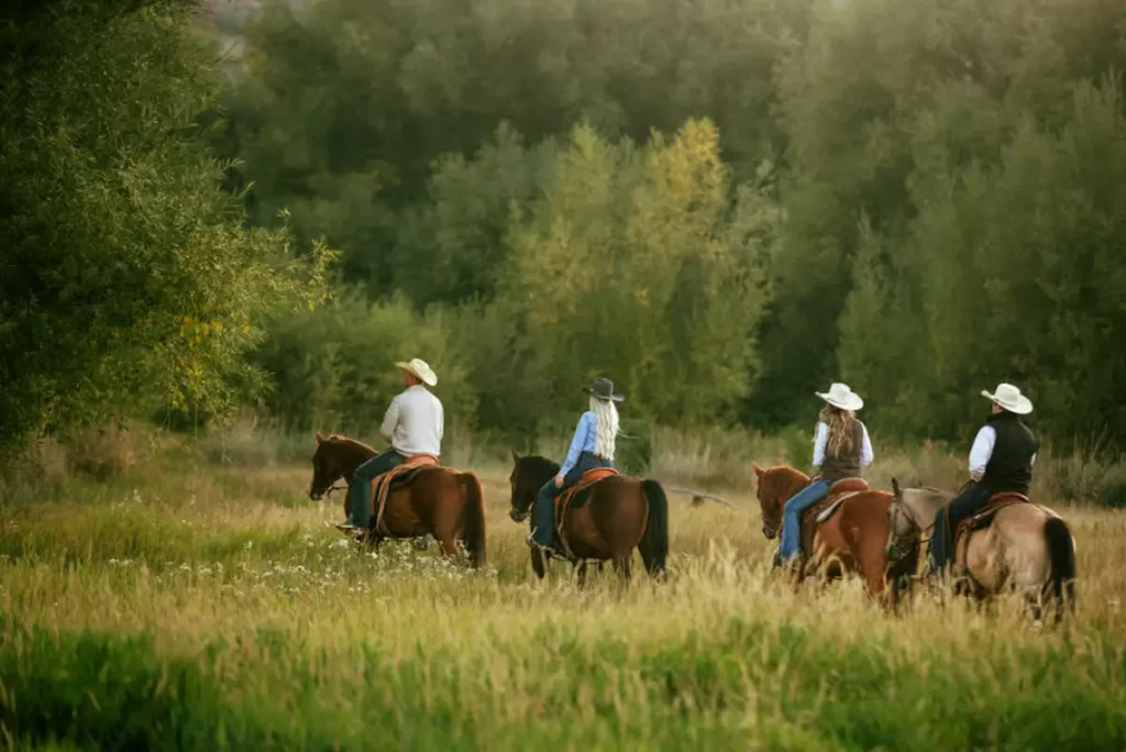 Midway, Utah Horseback Riding Tour with Guide