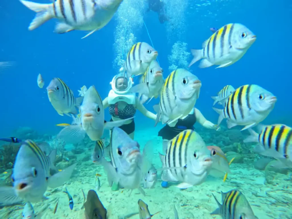 Guided Underwater Walking Experience